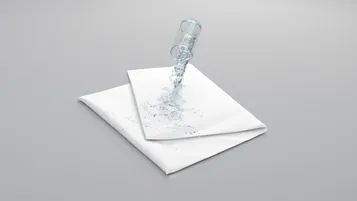 Protect-a-Pillow Simple (Протэкт-э-Пиллоу Симпл)